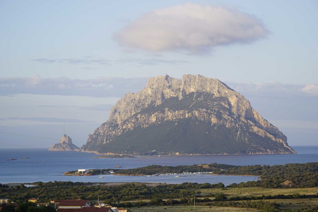 Ecomostro - Tavolara&nbsp;