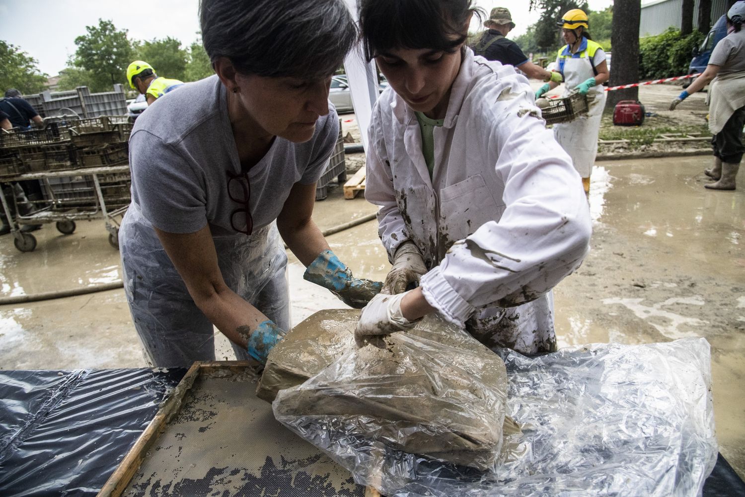 Libri alluvionati in Emilia Romagna&nbsp;