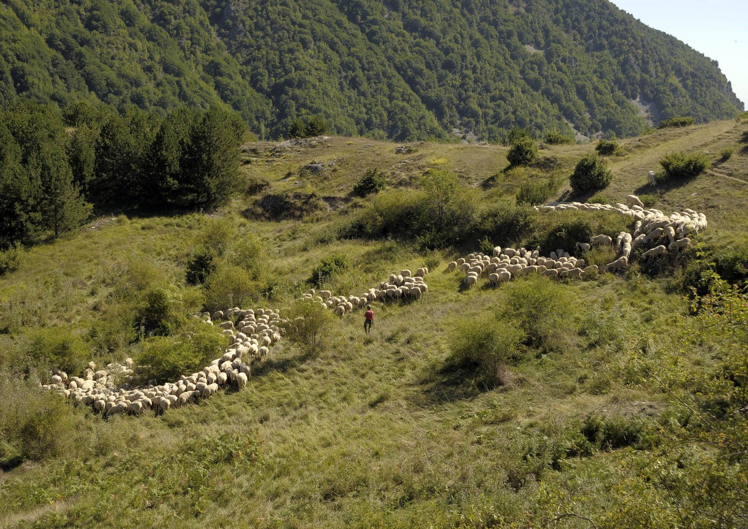 alpinisti gran sasso precipitano muoiono