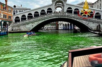 Canal Grande verde fosforescente all&rsquo;altezza del Ponte di Rialto&nbsp;