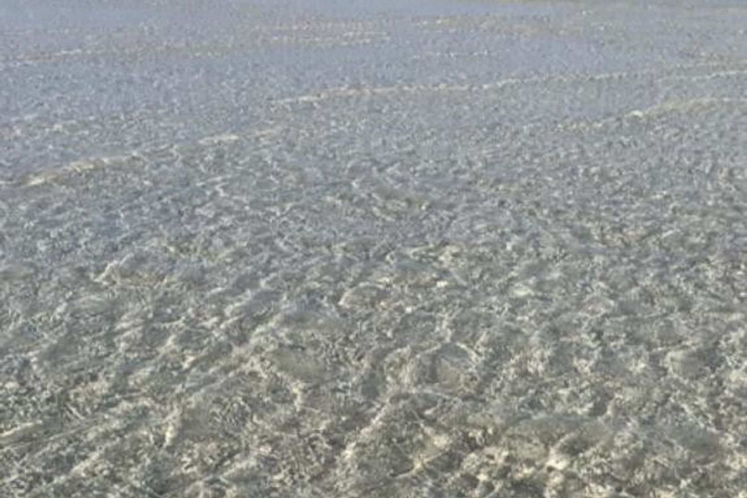 La spiaggia de La Pelosa, a Stintino