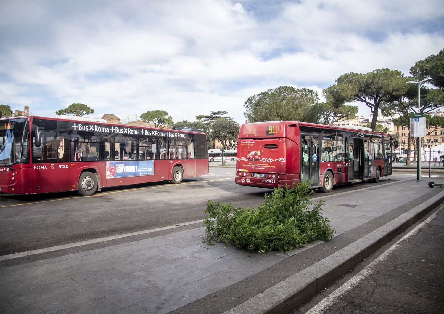 Autobus Atac&nbsp;