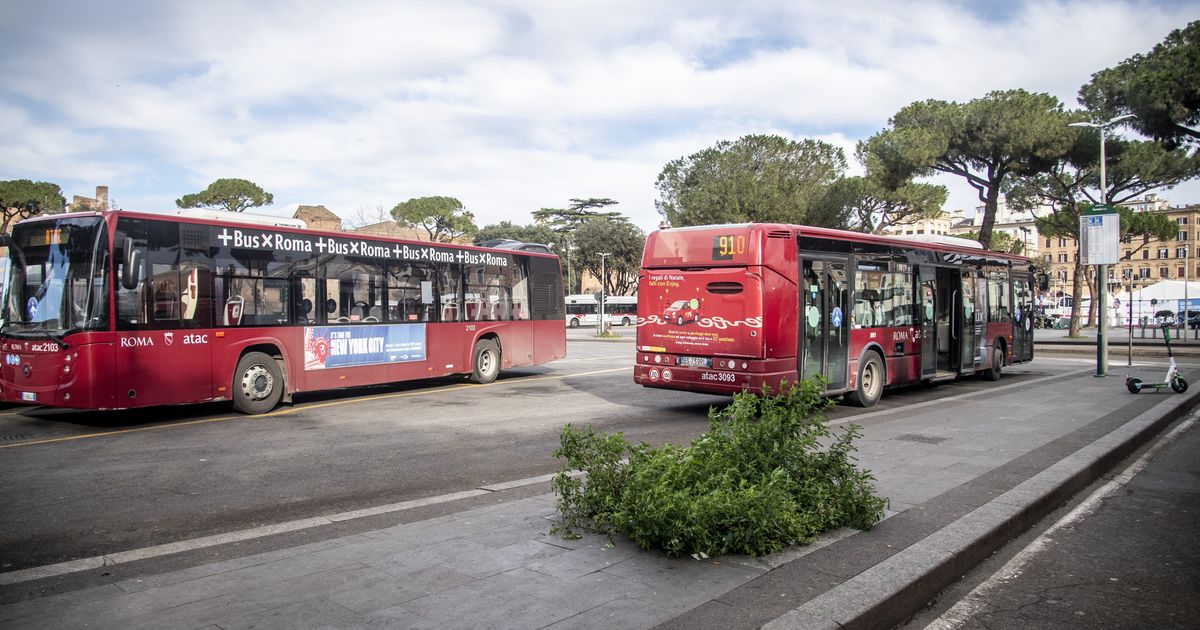 Colpi pistola su un bus a Roma, danneggiato il parabrezza