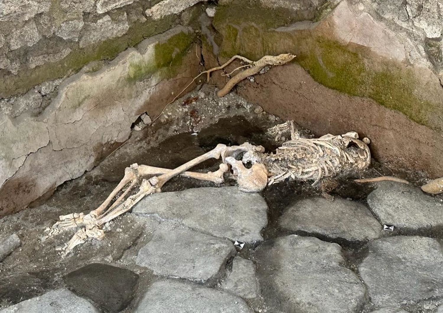 pompei trovati scheletri donne bambino case&nbsp;