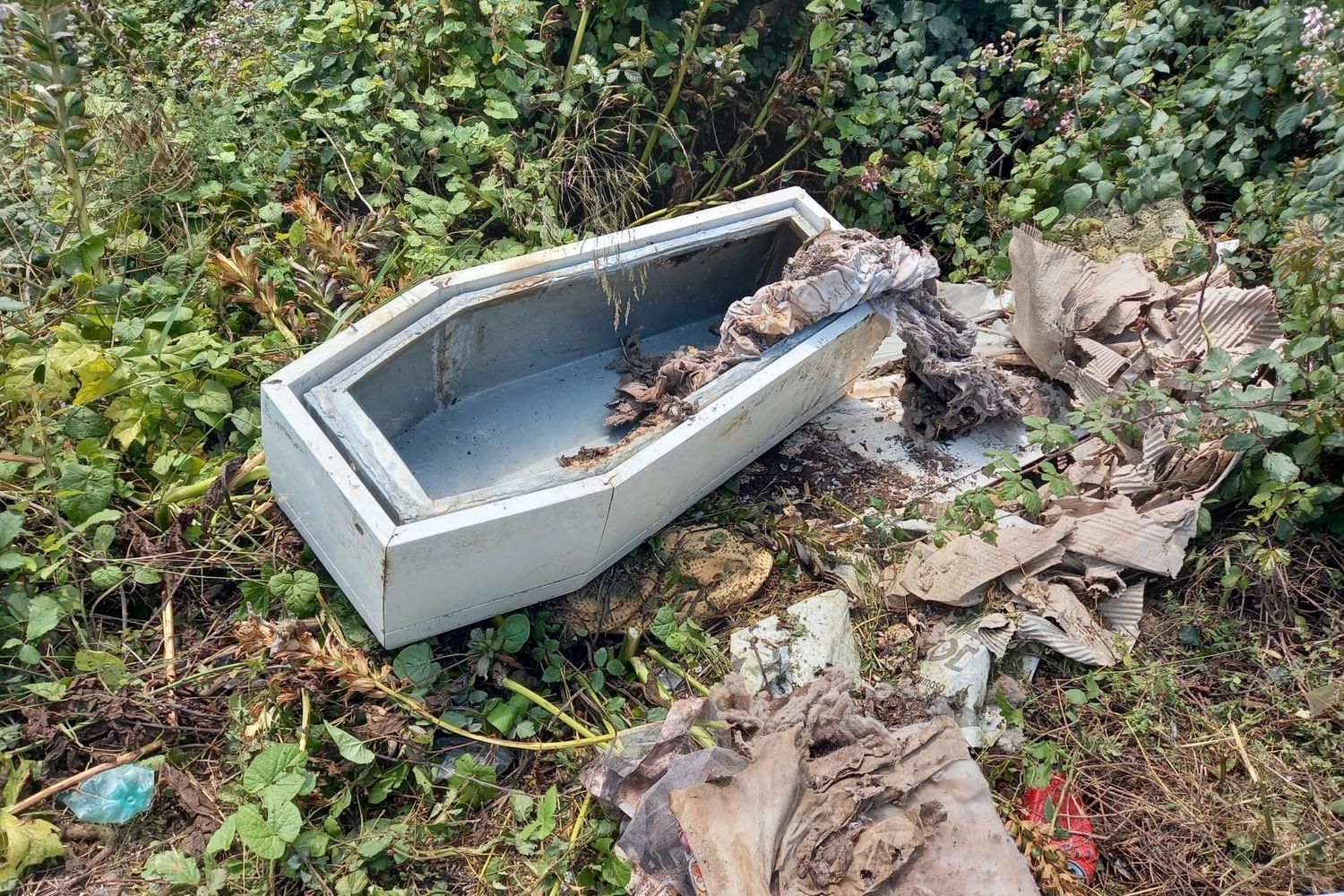 Bara bianca trovata ai margini di una strada a Catania