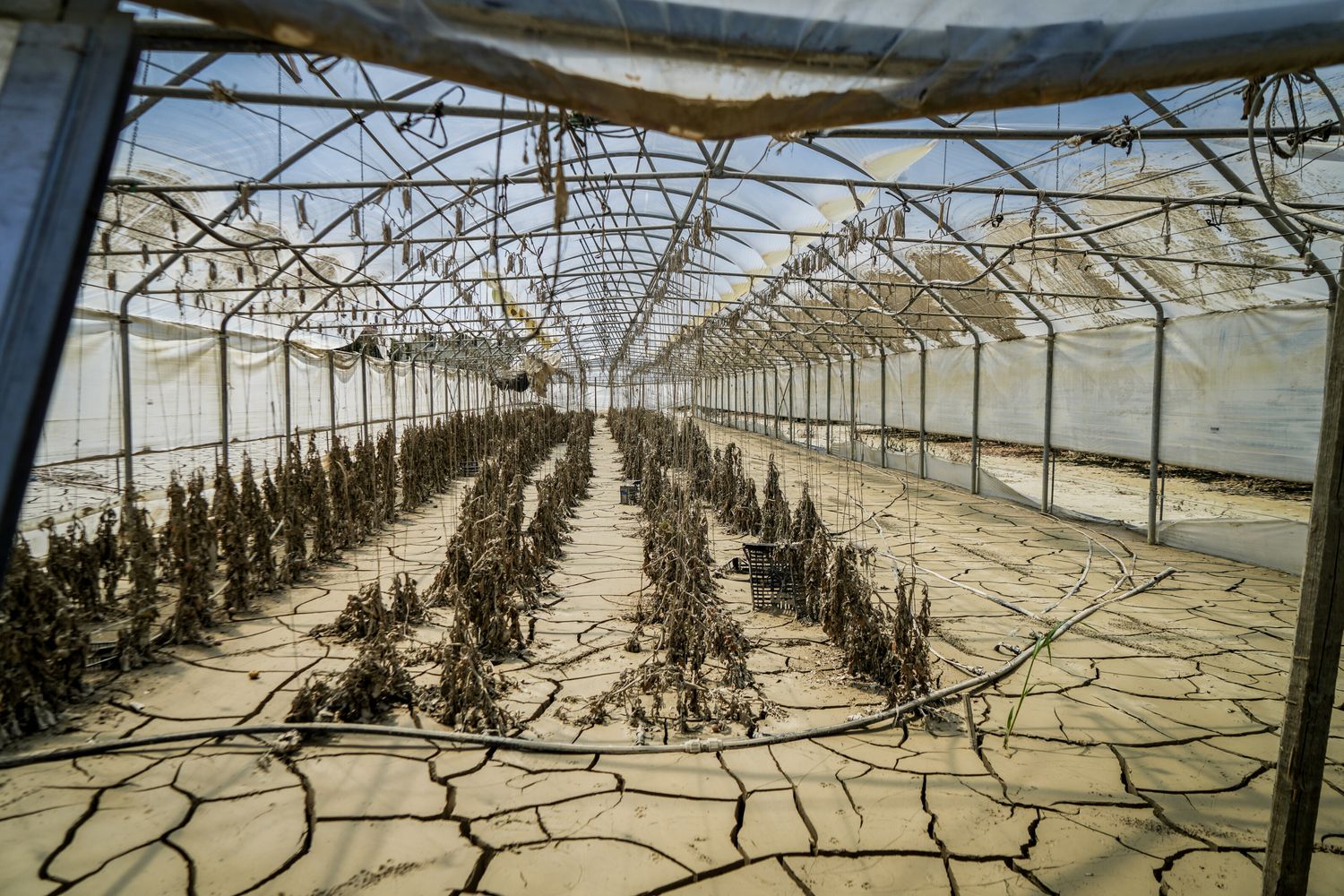 L'alluvione in Emilia Romagna ha lasciato il posto al fango