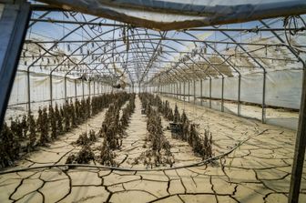 L'alluvione in Emilia Romagna ha lasciato il posto al fango