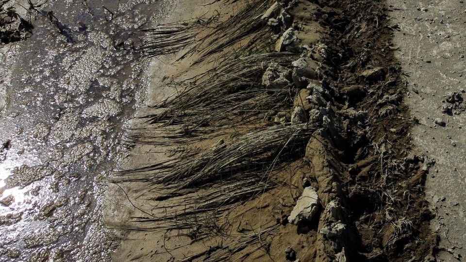 L'alluvione in Emilia Romagna ha lasciato il posto al fango&nbsp;