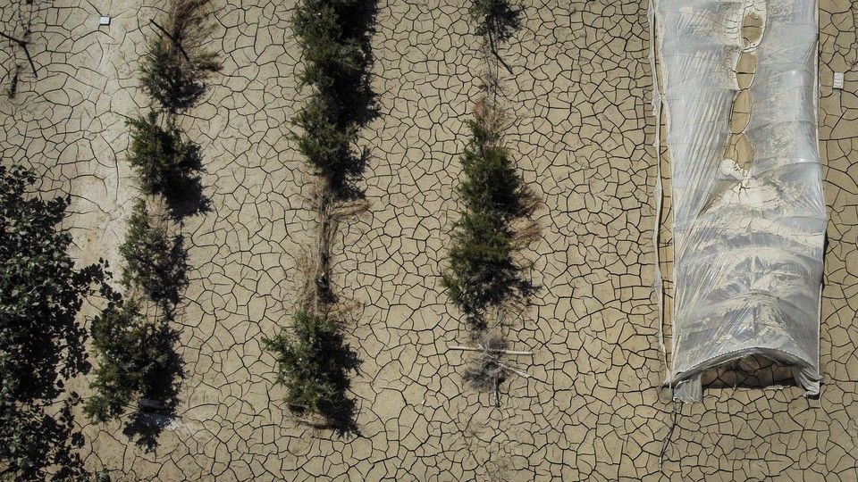 L'alluvione in Emilia Romagna ha lasciato il posto al fango&nbsp;