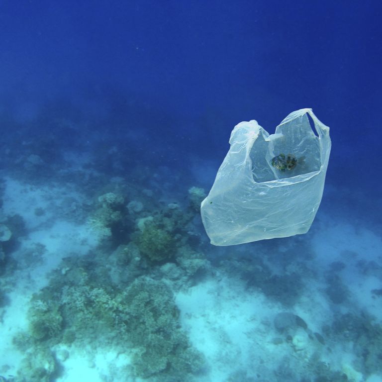 isola plastica tonnellate rifiuti mari italia