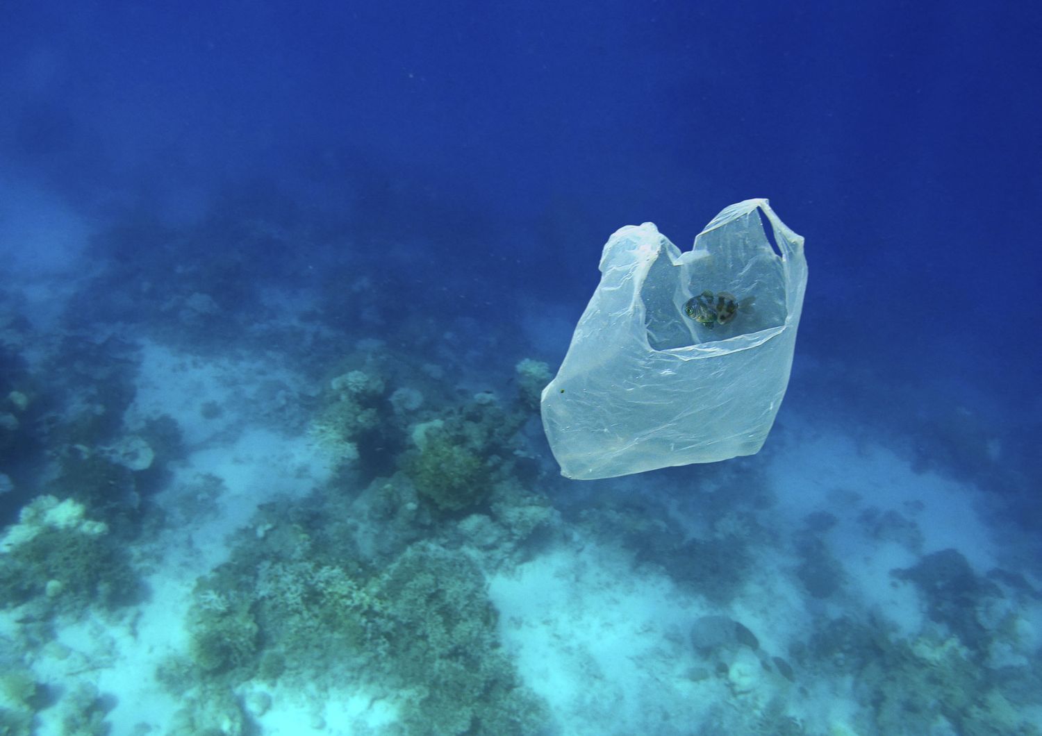 isola plastica tonnellate rifiuti mari italia