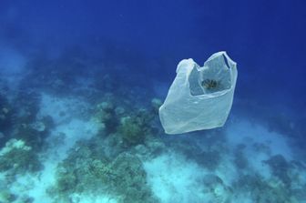 isola plastica tonnellate rifiuti mari italia
