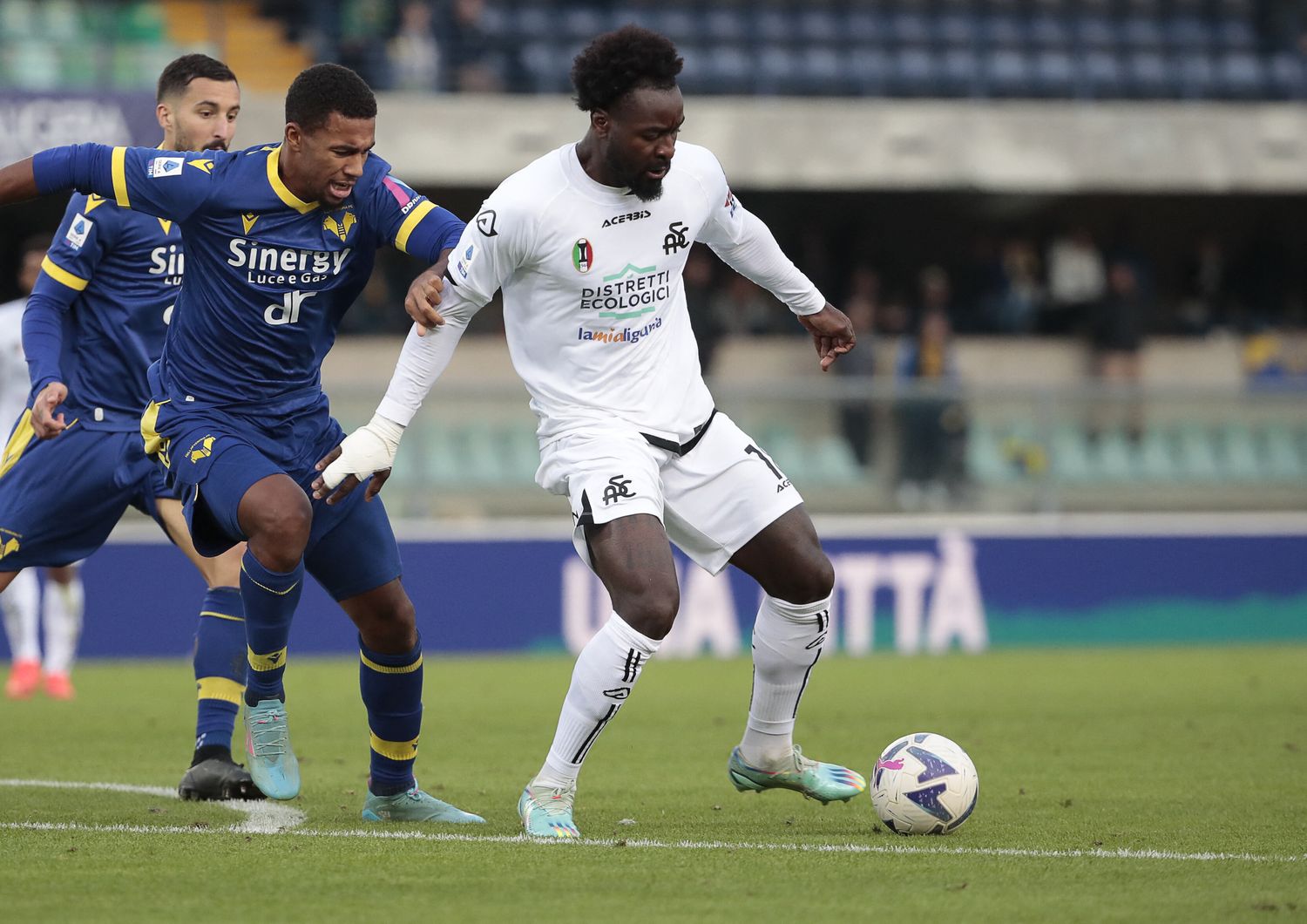 spareggio salvezza verona spezia dacia arena tifosi