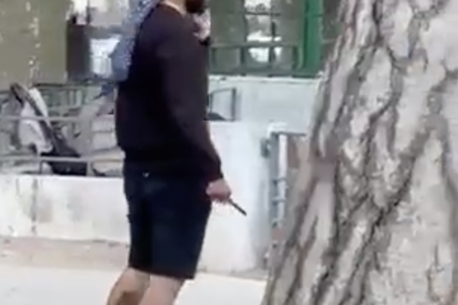 L'aggressore del parco giochi di Annecy