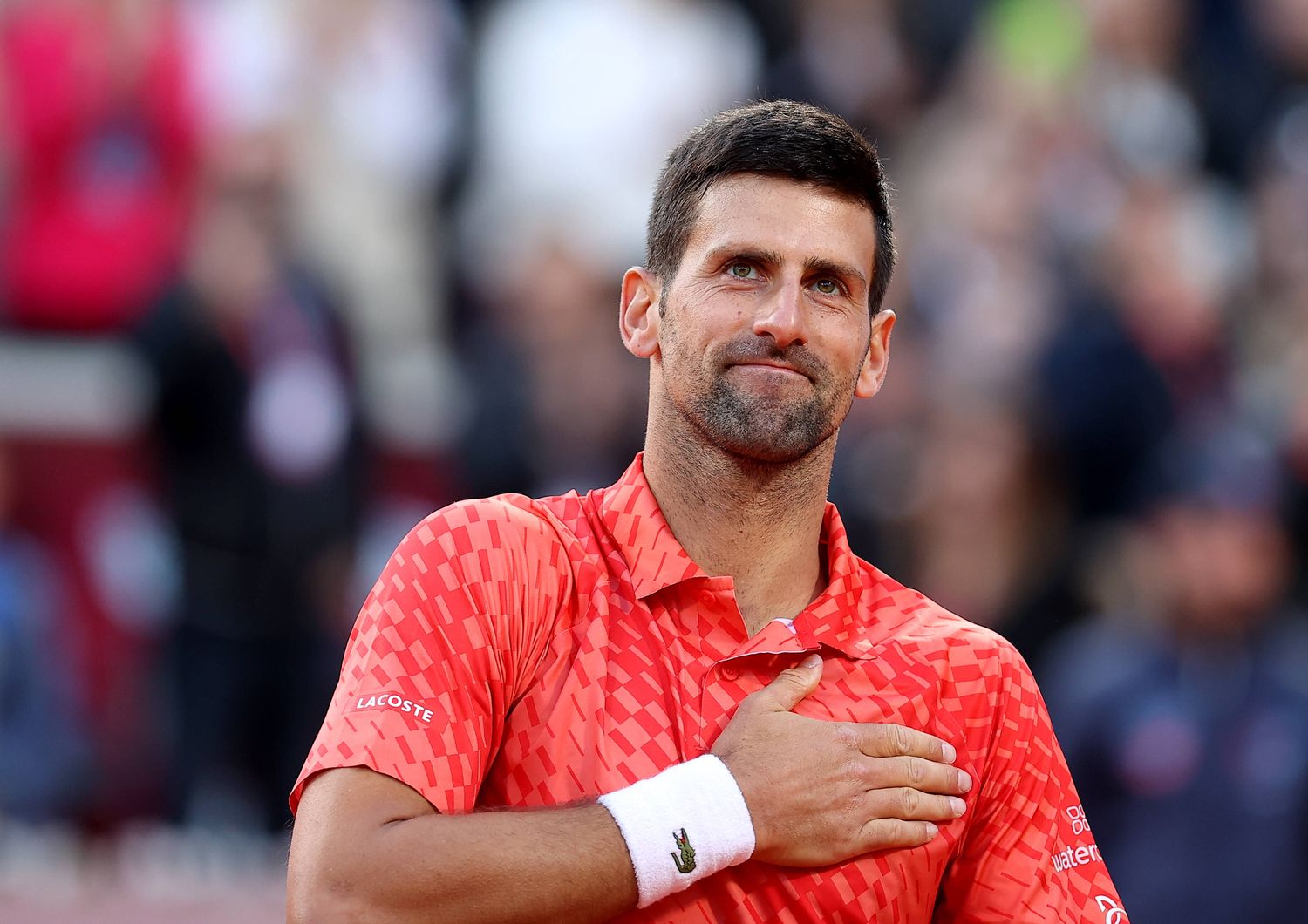 Roland Garros Djokovic e Ruud conquistano la finale