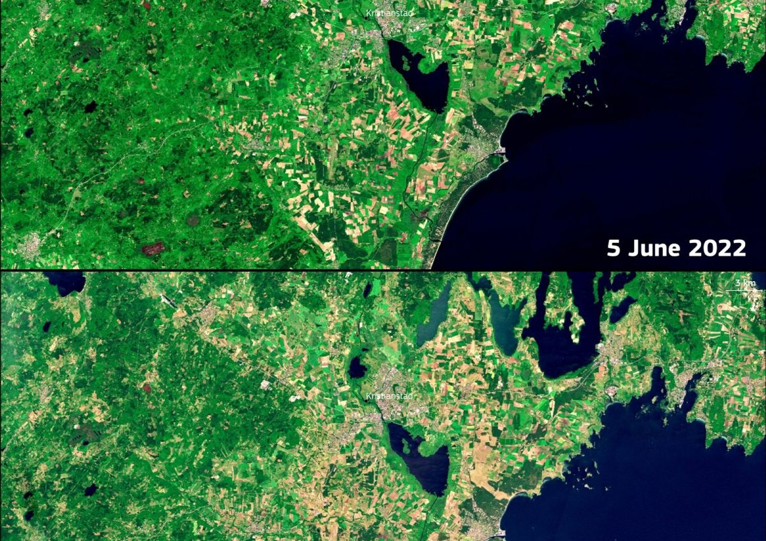 La siccit&agrave; in Svezia vista dal satellite Copernicus&nbsp;