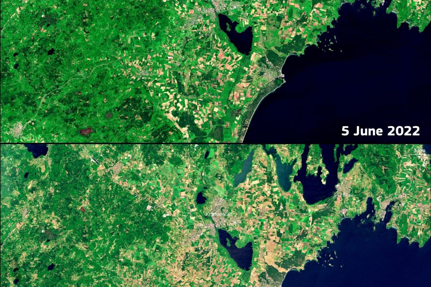 La siccit&agrave; in Svezia vista dal satellite Copernicus&nbsp;