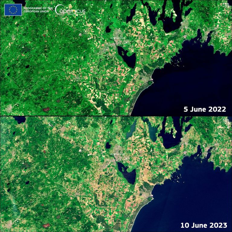 La siccit&agrave; in Svezia vista dal satellite Copernicus&nbsp;