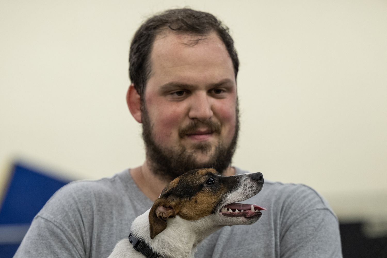 Cani e padroni esperti di &quot;ratting&quot;, la caccia al roditore