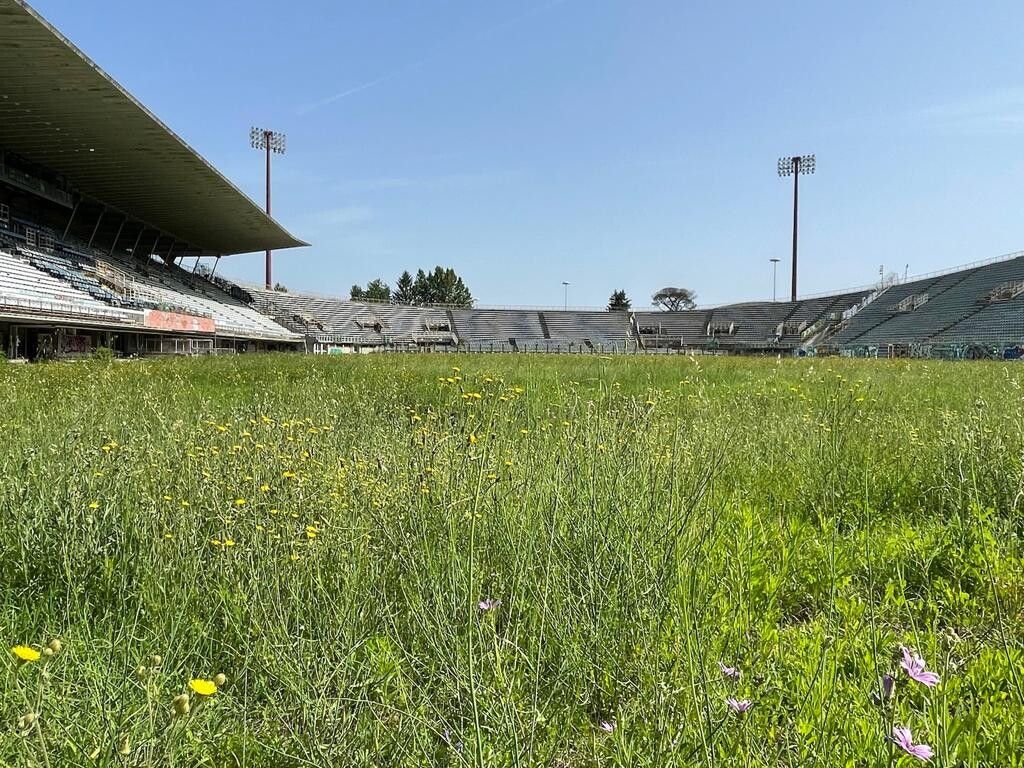 Degrado stadio Flaminio&nbsp;