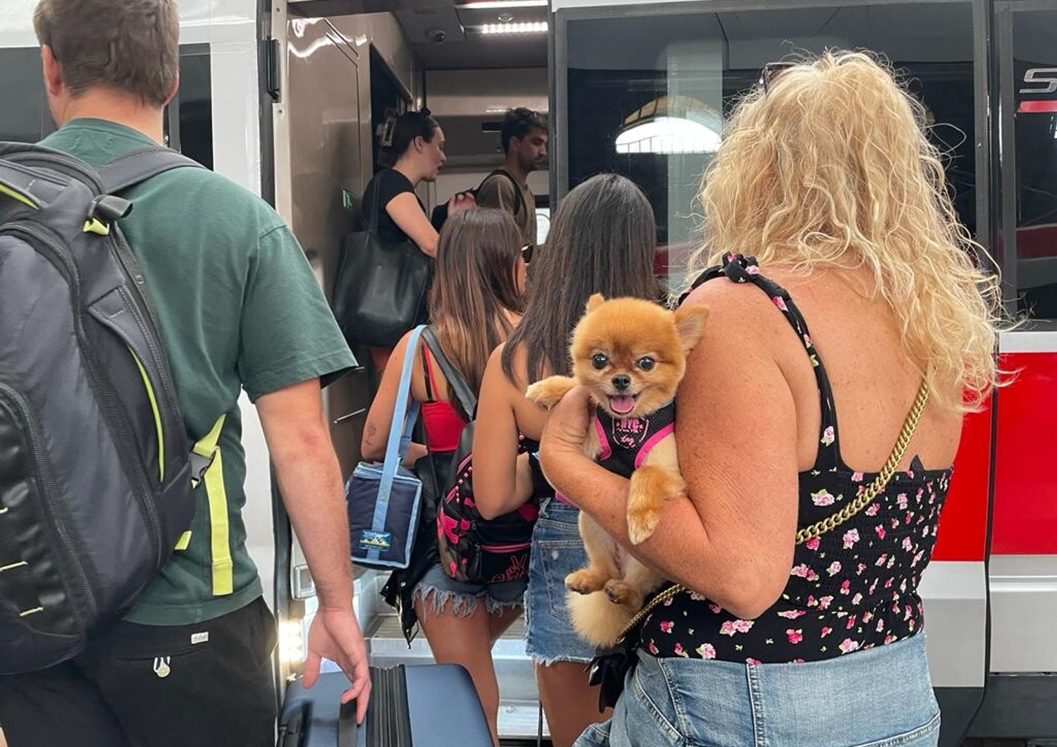 contro abbandono animali cani viaggiano gratis in treno