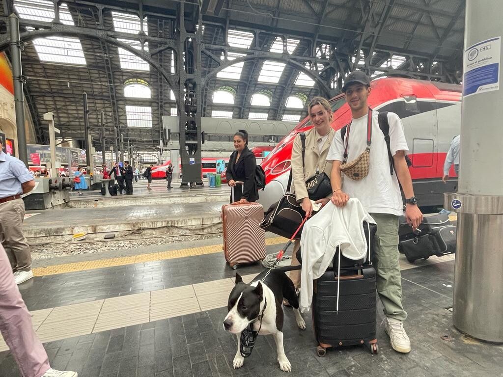 I cani viaggiano gratis in treno anche di taglia grossa