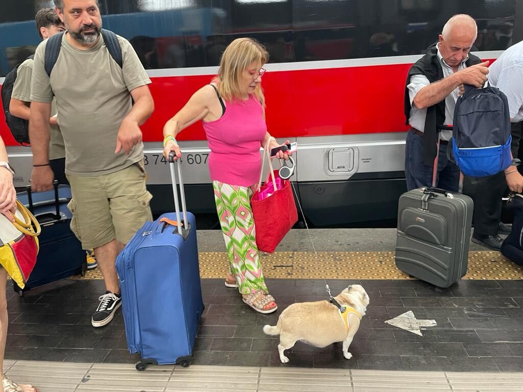 I cani viaggiano gratis in treno anche di taglia grossa