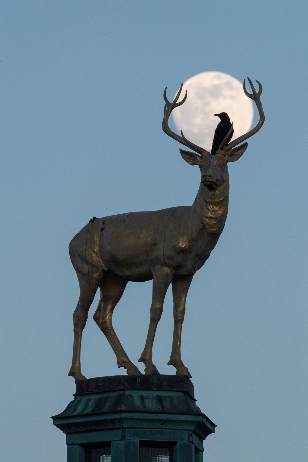 La Superluna del Cervo