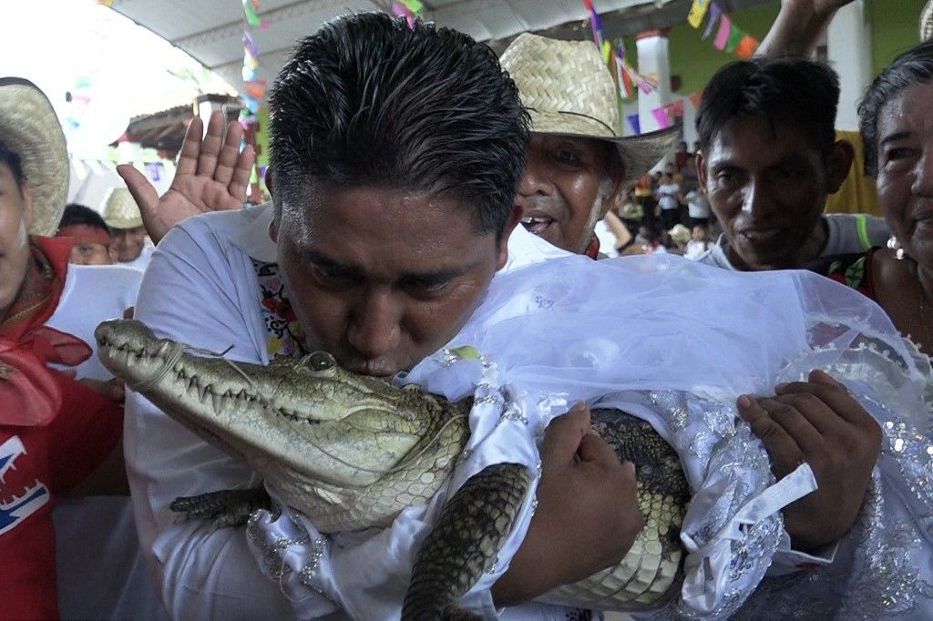 In Messico un sindaco sposa una femmina di caimano
