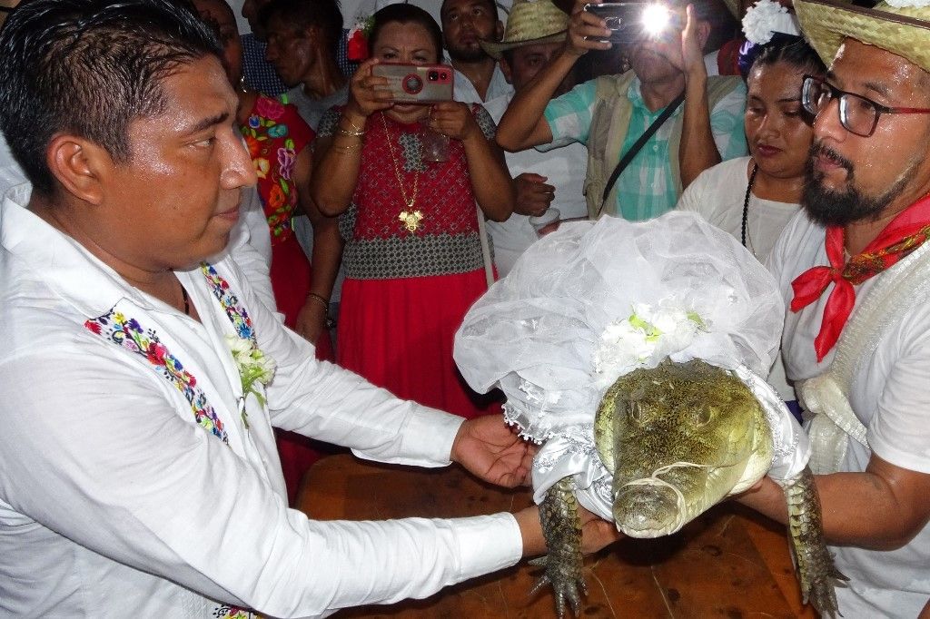 In Messico un sindaco sposa una femmina di caimano