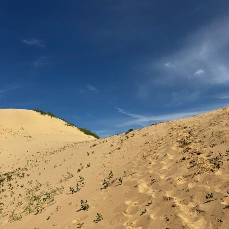 Tappa 3: le dune in movimento del Gobi