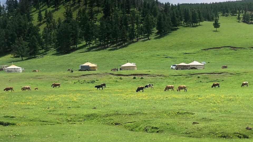 Tappa 5: dopo la pioggia, valli di pascoli e conifere che ricordano le Alpi