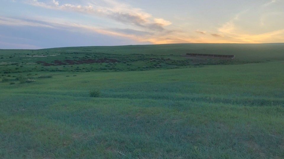 Una parte del deserto del Gobi verde per poche settimane l&rsquo;anno