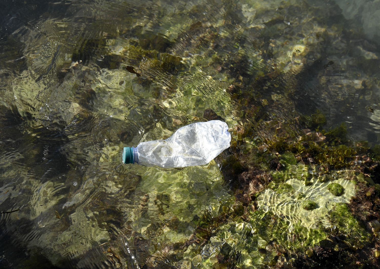 Bottiglie plastica nel fondale del fiume