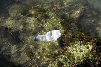 Bottiglie plastica nel fondale del fiume