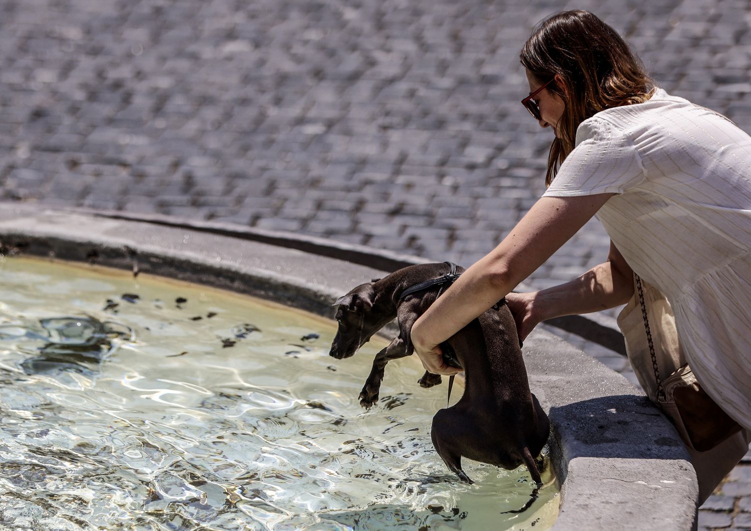 Caldo in aumento, temperature oltre i 40 gradi. Nella foto una donna rinfresca il proprio cane a una fontana di Piazza del Popolo&nbsp;