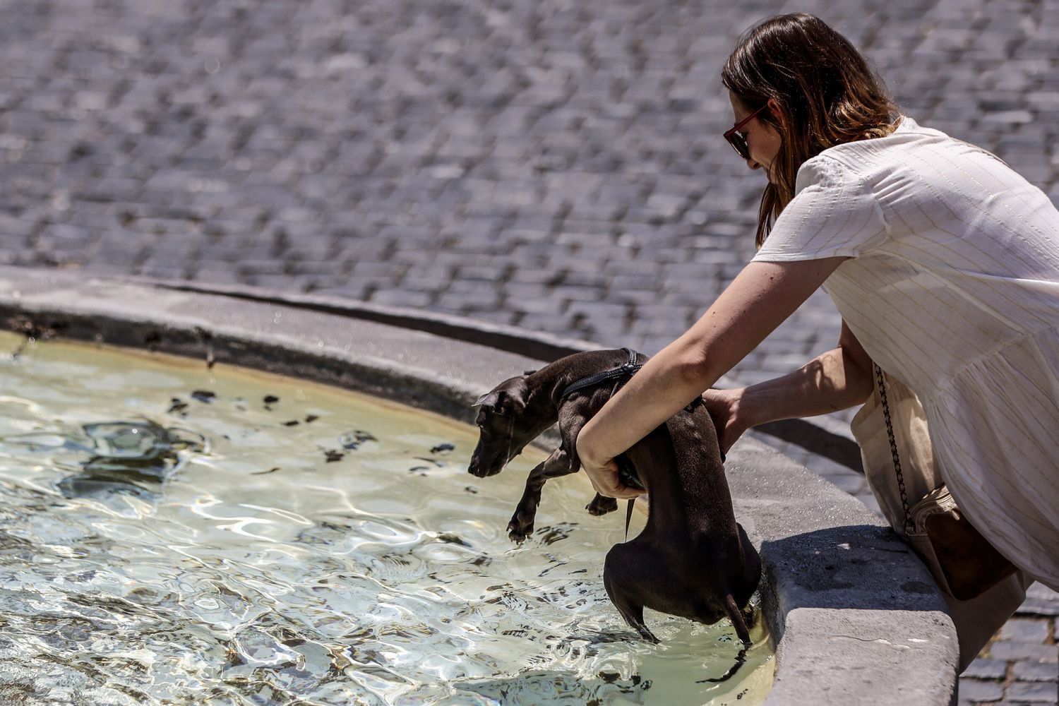 Caldo in aumento, temperature oltre i 40 gradi. Nella foto una donna rinfresca il proprio cane a una fontana di Piazza del Popolo&nbsp;