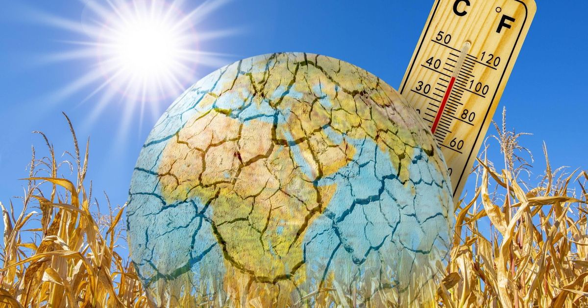 気候、2024年6月は史上最も暑い月