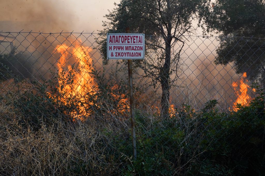 Fiamme a nord di Atene. L'Italia manda due Canadair