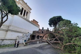 pino cade piazza d&#39;aracoeli roma