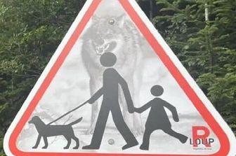 svizzera segnali attenti lupo illegali