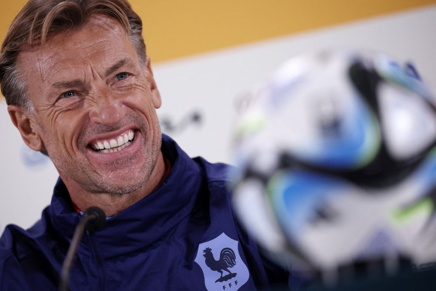Herv&eacute; Renard&nbsp;