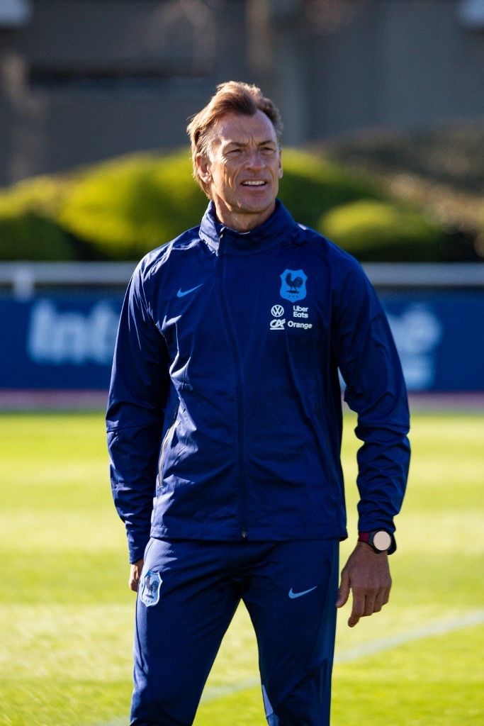 Herv&eacute; Renard&nbsp;