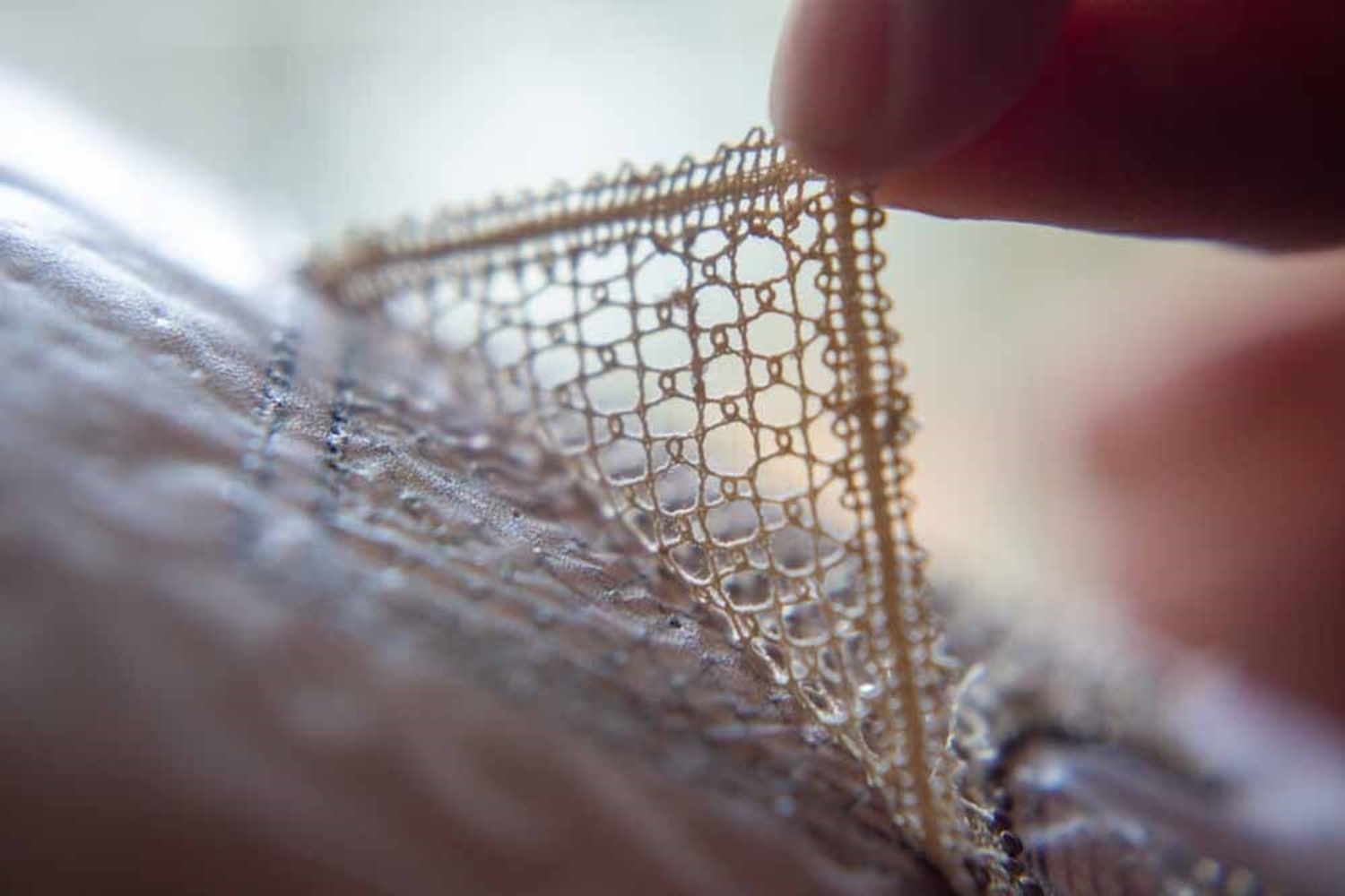 L'arte di Antonia Murgolo