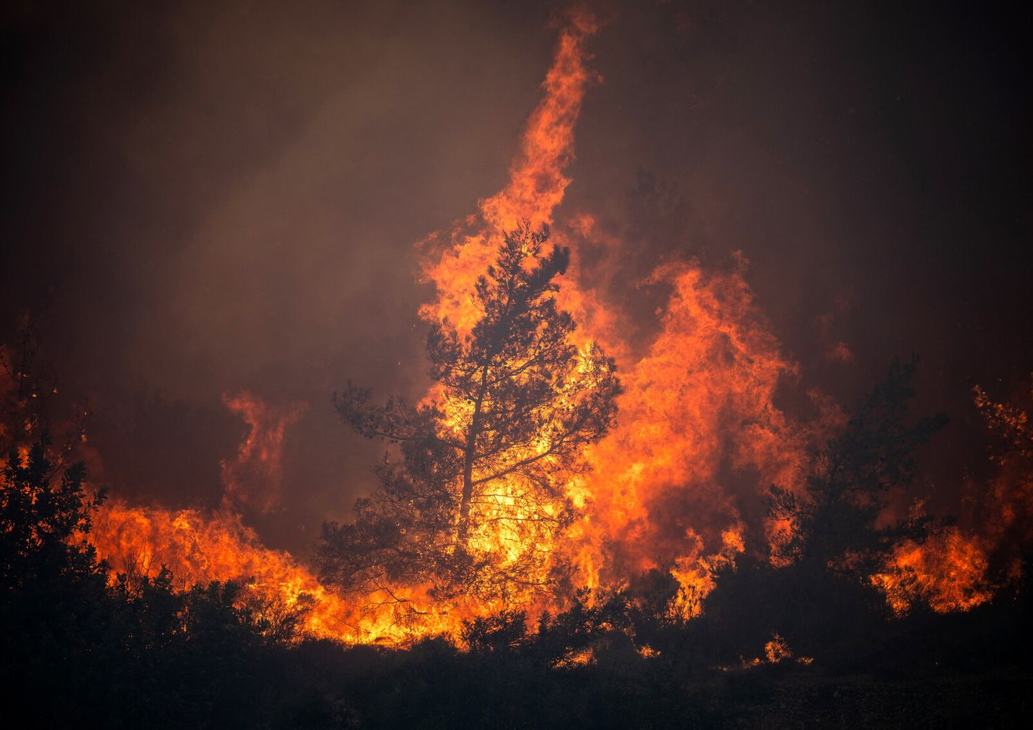 Incendio in Grecia