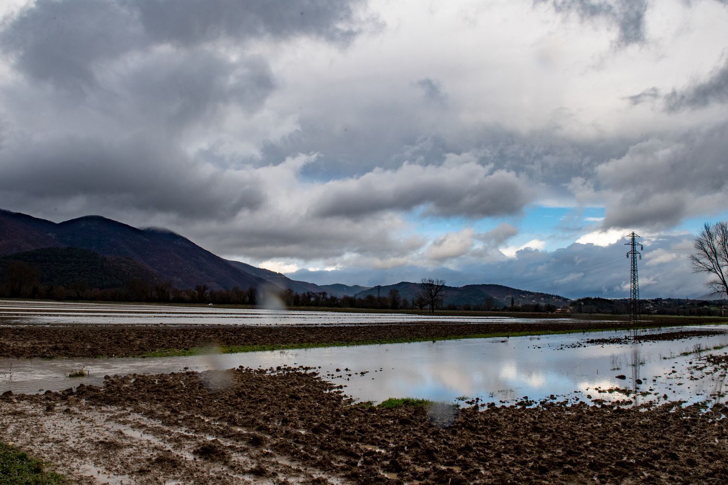 Colture danneggiate dal maltempo/ foto di repertorio