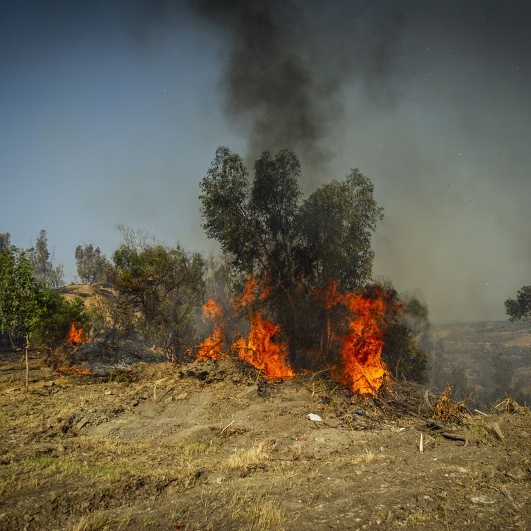 Incendio in Calabria