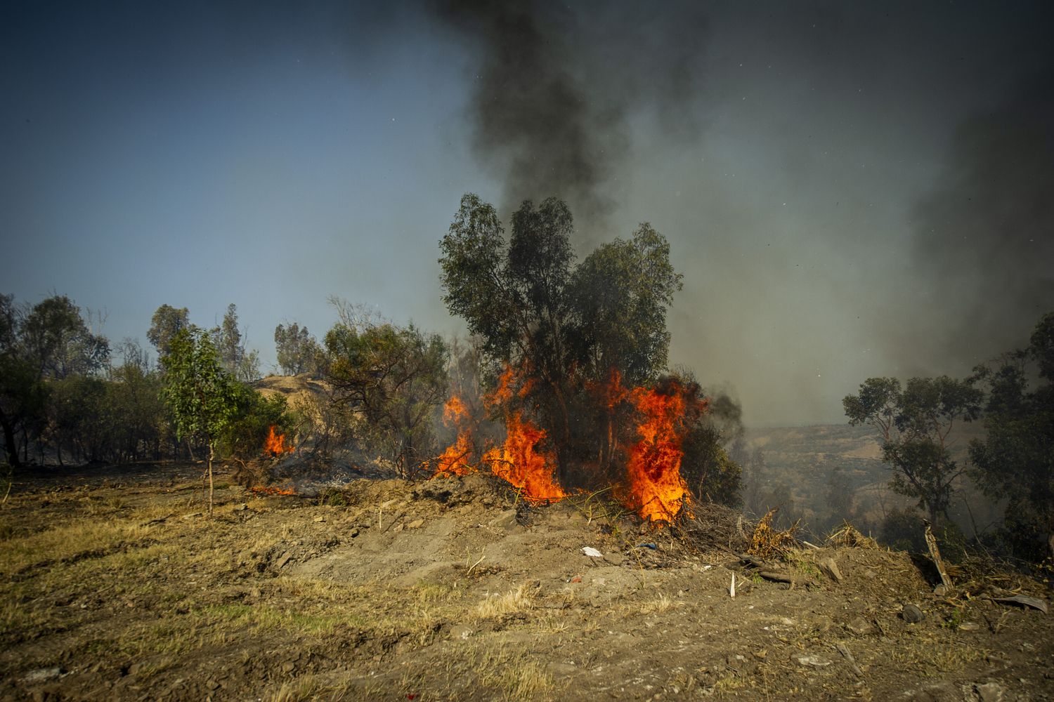 Incendio in Calabria