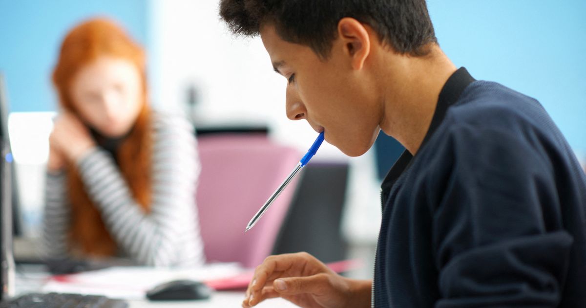 latino poesie a memoria e rispetto donna le nuove linee guida della scuola