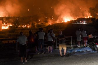 caldo incendi sicilia devastata